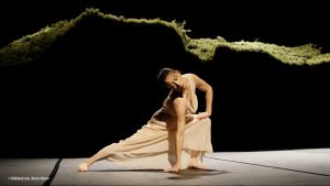 WIESENLAND_Pina-Bausch©TANZweb.org_Klaus-Dilger