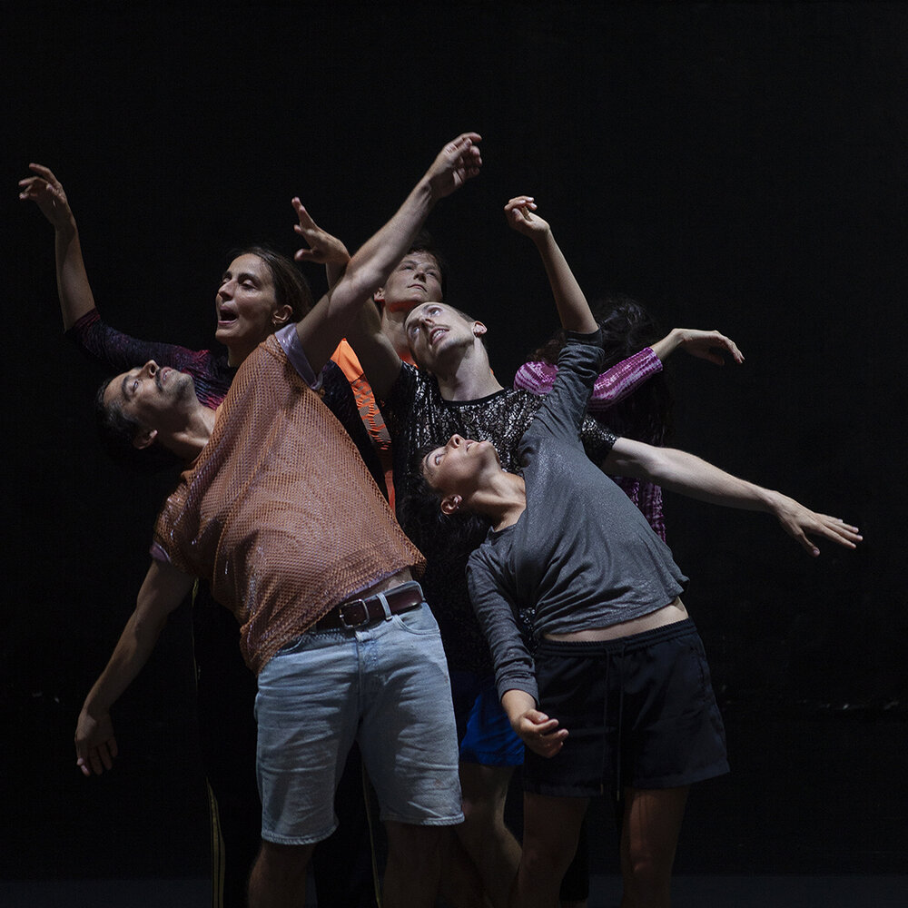 Research-STIMMKOERPER-by-CocoonDance-_c_Cocoondance_Franco-Mento